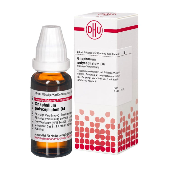 DHU Gnaphalium polycephalum D4 Dilution, 20 ml Lösung