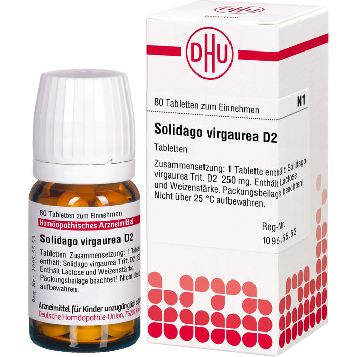 DHU Solidago virgaurea D2 Tabletten, 80 St. Tabletten