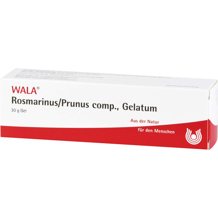 WALA Rosmarinus/Prunus comp. Gelatum, 30 g Ointment