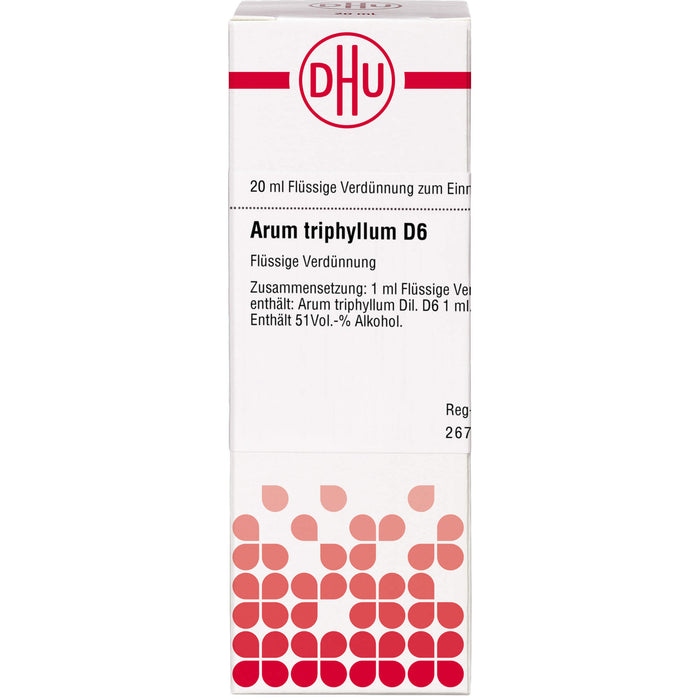 DHU Arum triphyllum D6 Dilution, 20 ml Lösung