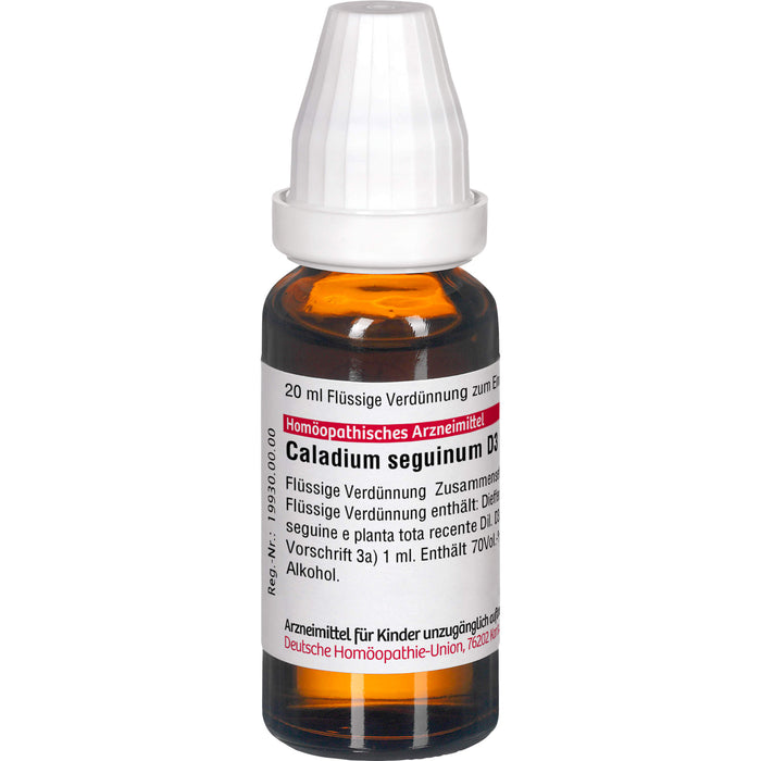 Caladium seguinum D3 DHU Dilution, 20 ml Lösung