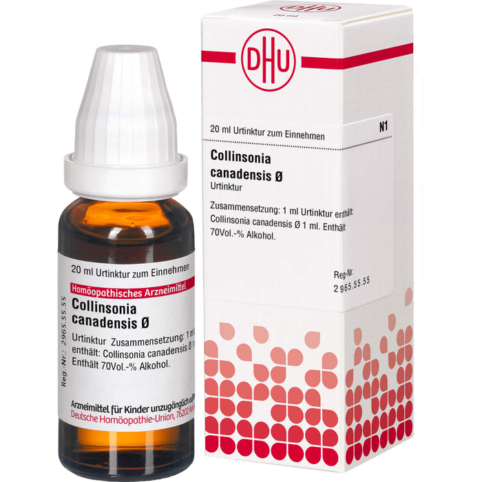 DHU Collinsonia canadensis Ø Urtinktur, 20 ml Lösung