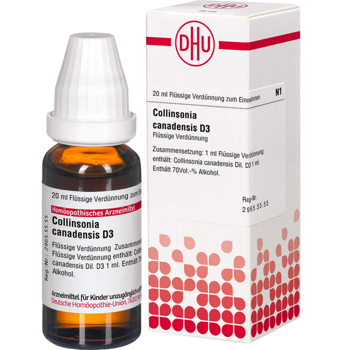 Collinsonia canadensis D3 DHU Dilution, 20 ml Lösung