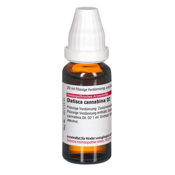 Datisca cannabina D2 DHU Dilution, 20 ml Lösung