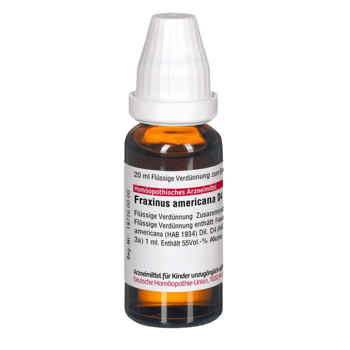 DHU Fraxinus americana D 4 Verdünnung, 20 ml Lösung