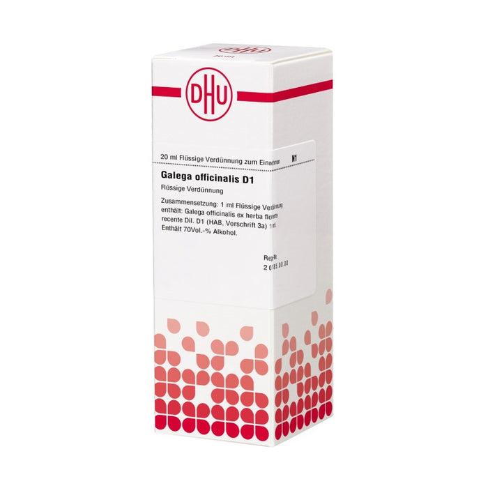 Galega officinalis D1 DHU Dilution, 20 ml Lösung