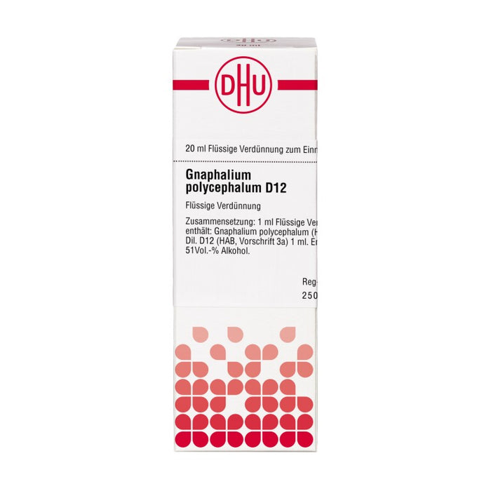 DHU Gnaphalium polycephalum D12 Dilution, 20 ml Lösung