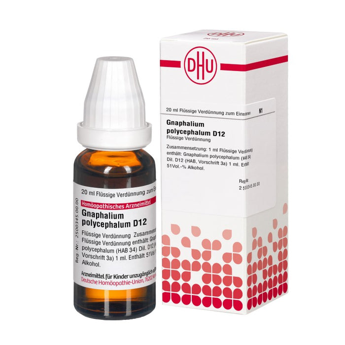 DHU Gnaphalium polycephalum D12 Dilution, 20 ml Lösung