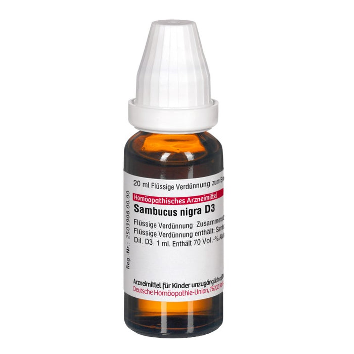 Sambucus nigra D3 DHU Dilution, 20 ml Lösung