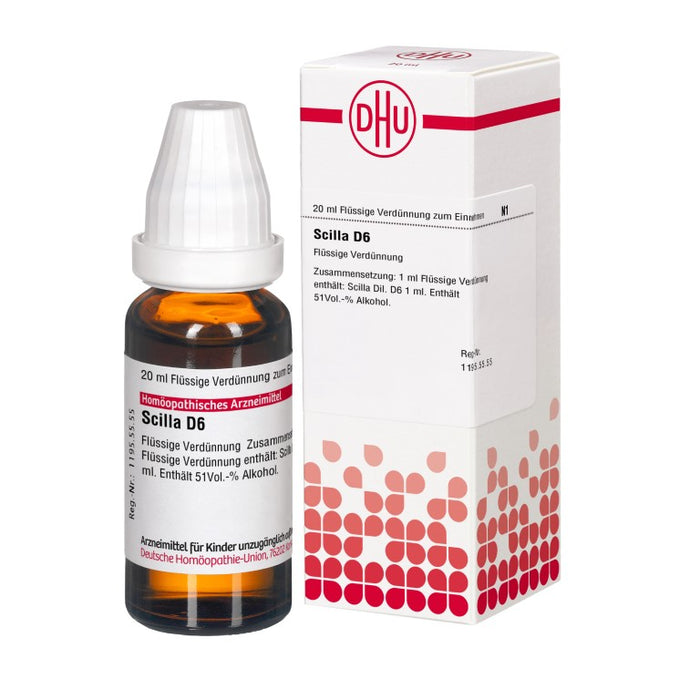 DHU Scilla D6 Dilution, 20 ml Lösung