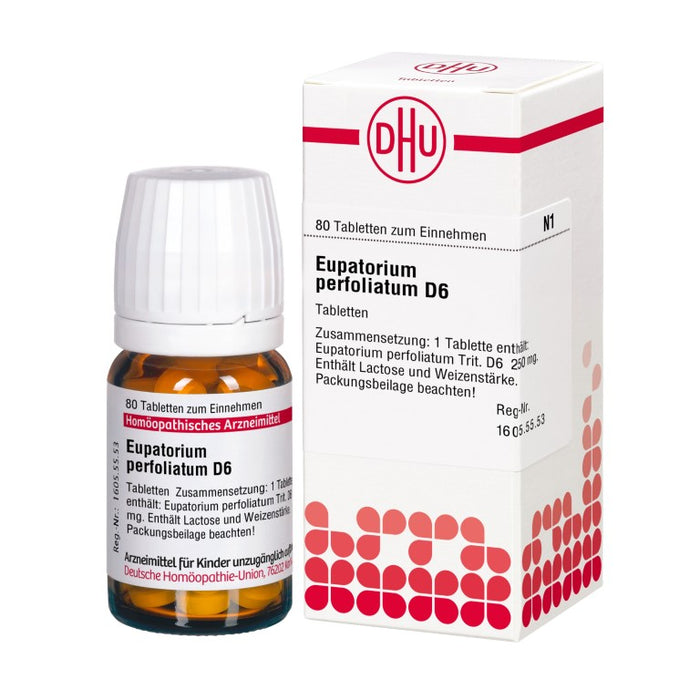 DHU Eupatorium perfoliatum D 6 Tabletten, 80 St. Tabletten