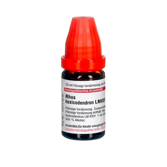 DHU Rhus toxicodendron LM XXIV Dilution, 10 ml Lösung