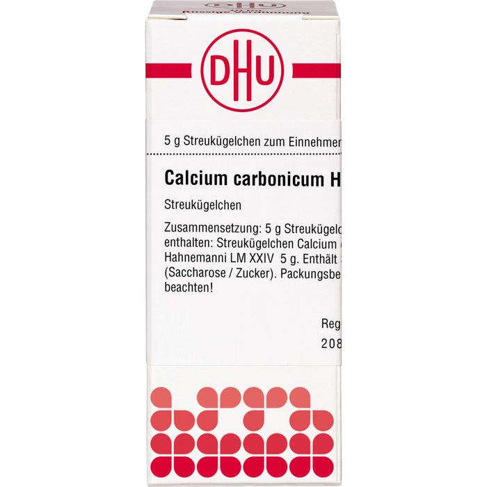 Calcium carbonicum Hahnemanni LM XXIV DHU Globuli, 5 g Globuli