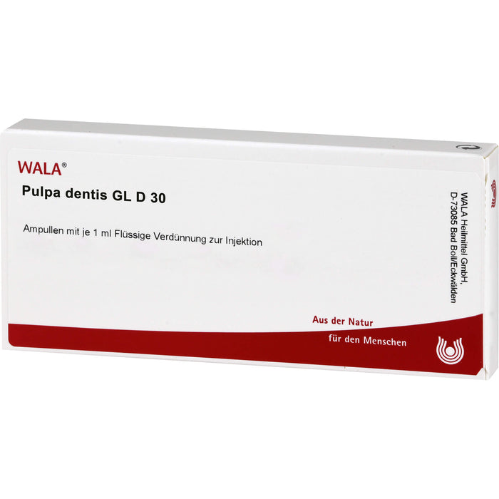 Pulpa Dentis Gl D30 Wala Ampullen, 10 St. Ampullen