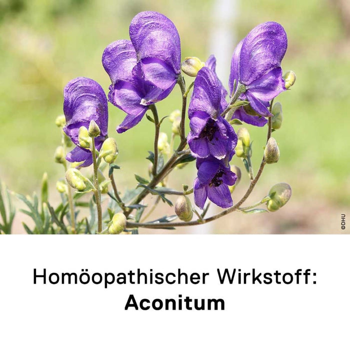 DHU Aconitum C30 Streukügelchen, 10 g Globuli