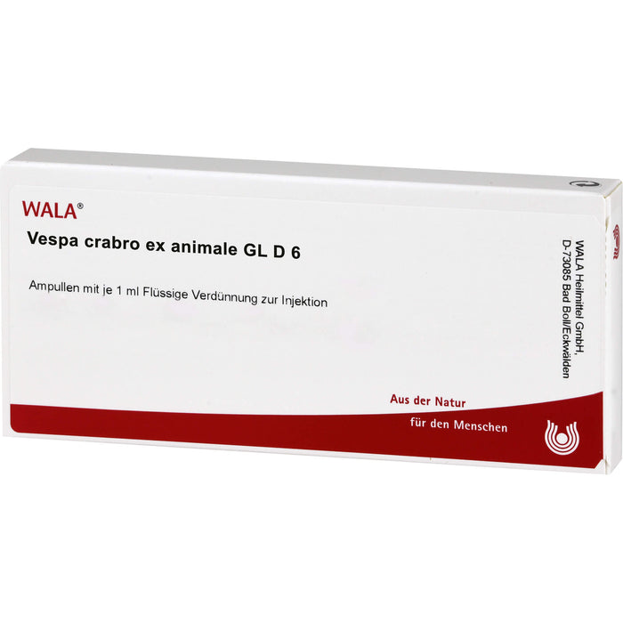 Vespa Crabro Ex Animale Gl D6 Wala Ampullen, 10X1 ml AMP