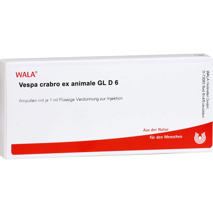 Vespa Crabro Ex Animale Gl D6 Wala Ampullen, 10X1 ml AMP