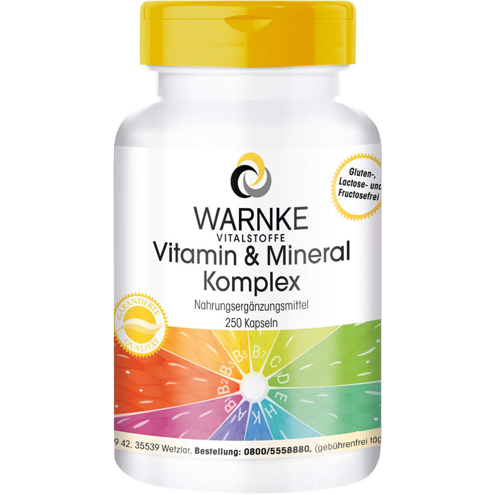 Vitamin & Mineral Komplex, 250 St KAP