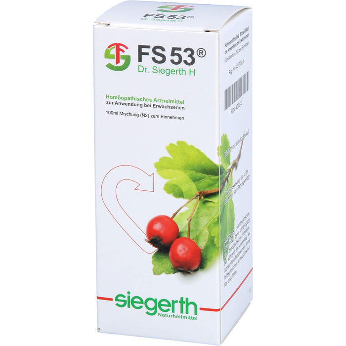 FS 53 Dr. Siegerth H flüssig, 100 ml FLU