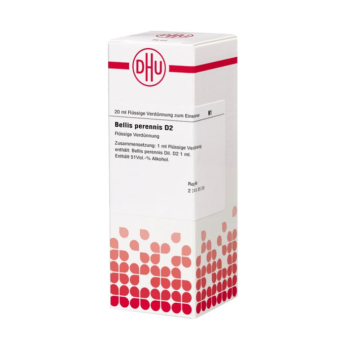 DHU Bellis perennis D2 Dilution, 20 ml Lösung