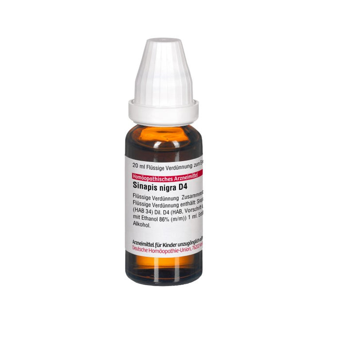 Sinapis nigra D4 DHU Dilution, 20 ml Lösung