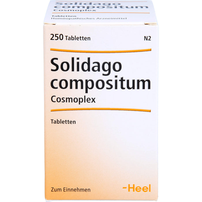 Solidago compositum Cosmoplex Tbl., 250 St TAB