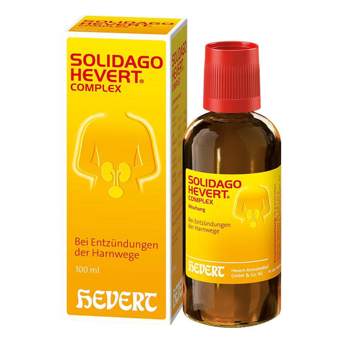 Solidago Hevert Complex bei Blasen- und Harnwegsentzündungen, 100 ml Lösung