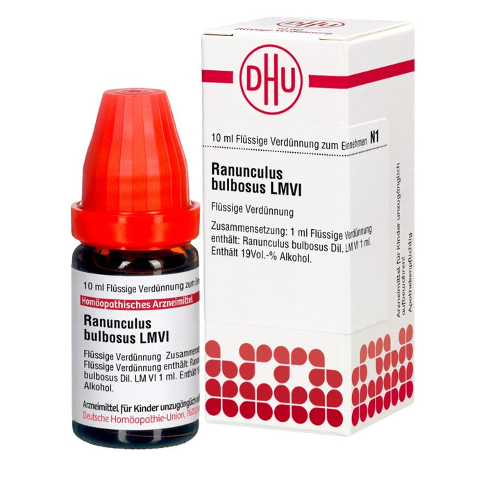 Ranunculus bulbosus LM VI DHU Dilution, 10 ml Lösung