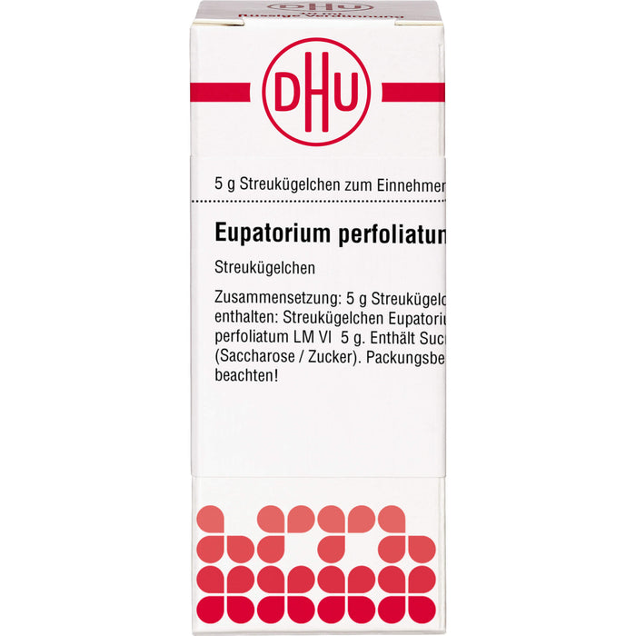 DHU Eupatorium perfoliatum LM VI Streukügelchen, 5 g Globules