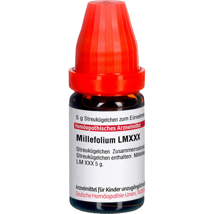 Millefolium LM XXX DHU Globuli, 5 g Globuli