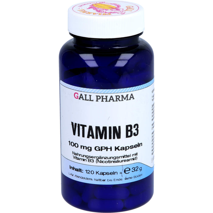 GALL PHARMA Vitamin B3 100 mg GPH Kapseln, 120 pc Capsules