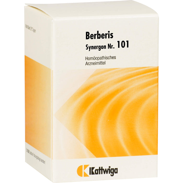 Synergon Komplex 101 Berberis Tbl., 200 St TAB