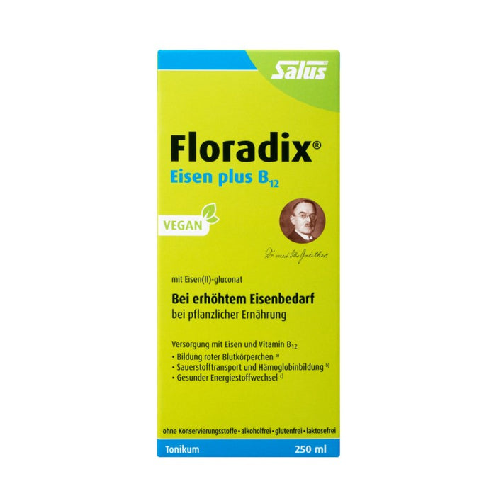 Floradix Eisen plus B12 vegan Tonikum bei erhöhtem Eisenbedarf, 250 ml Lösung