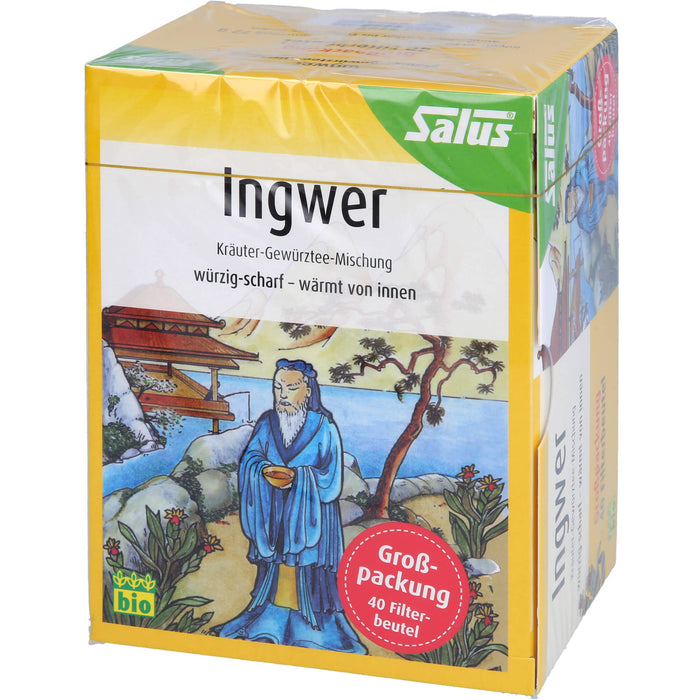 Ingwer Kräuter-Gewürztee-Mischung bio Salus, 40 St FBE