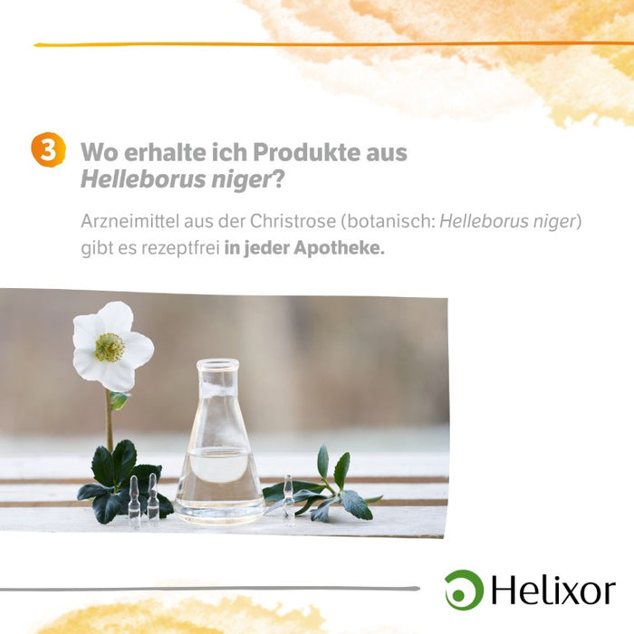 Helleborus niger D 30 aquos., 8 pc Ampoules