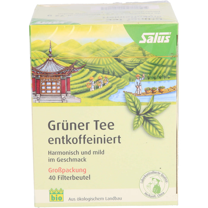 Salus Grüner Tee entkoffeiniert, 40 St. Tee