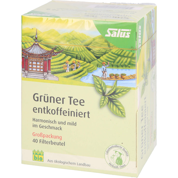 Salus Grüner Tee entkoffeiniert, 40 pcs. Tea