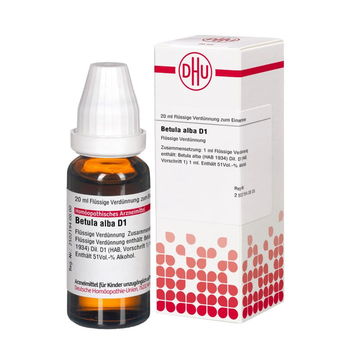 DHU Betula alba D1 Dilution, 20 ml Lösung