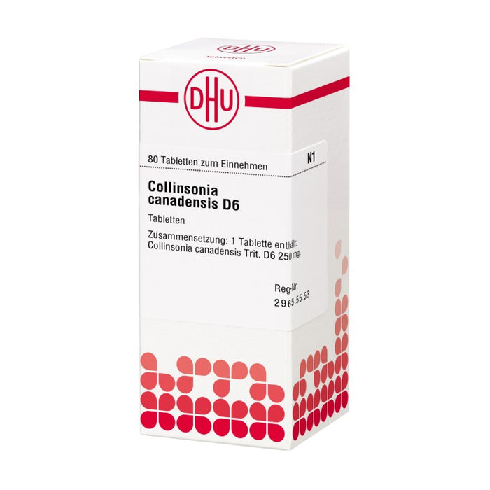 Collinsonia canadensis D6 DHU Tabletten, 80 St. Tabletten