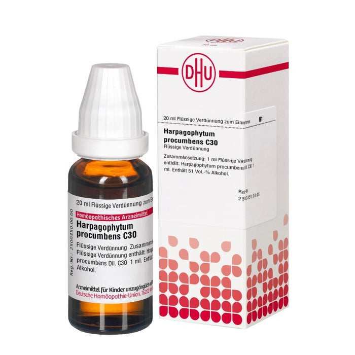 Harpagophytum procumbens C30 DHU Dilution, 20 ml Lösung