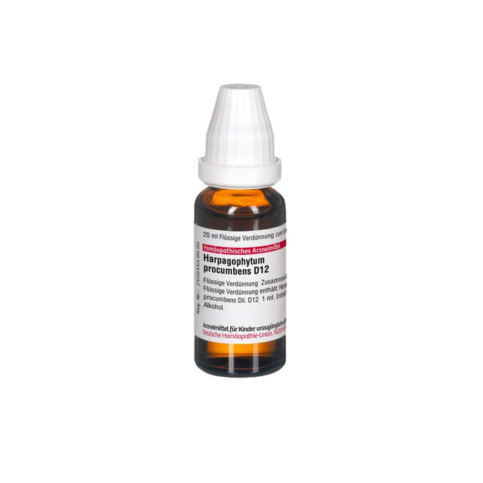 Harpagophytum procumbens D12 DHU Dilution, 20 ml Lösung