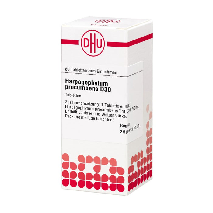 Harpagophytum procumbens D30 DHU Tabletten, 80 St. Tabletten