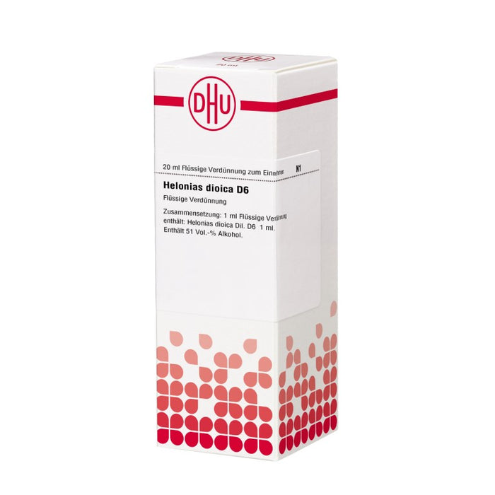 Helonias dioica D6 DHU Dilution, 20 ml Lösung