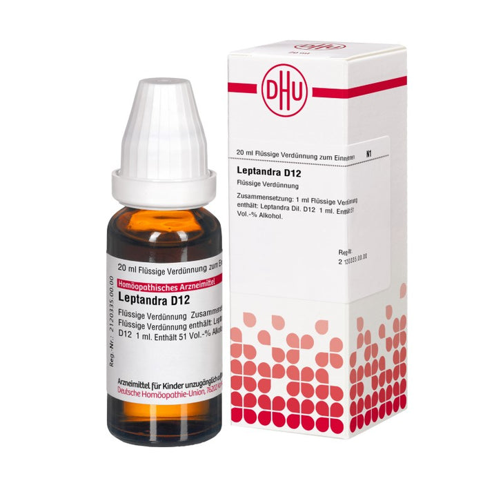 Leptandra D12 DHU Dilution, 20 ml Lösung