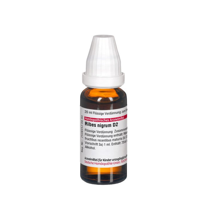 DHU Ribes nigrum D2 Dilution, 20 ml Lösung