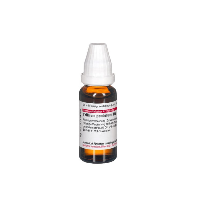 Trillium pendulum D6 DHU Dilution, 20 ml Lösung