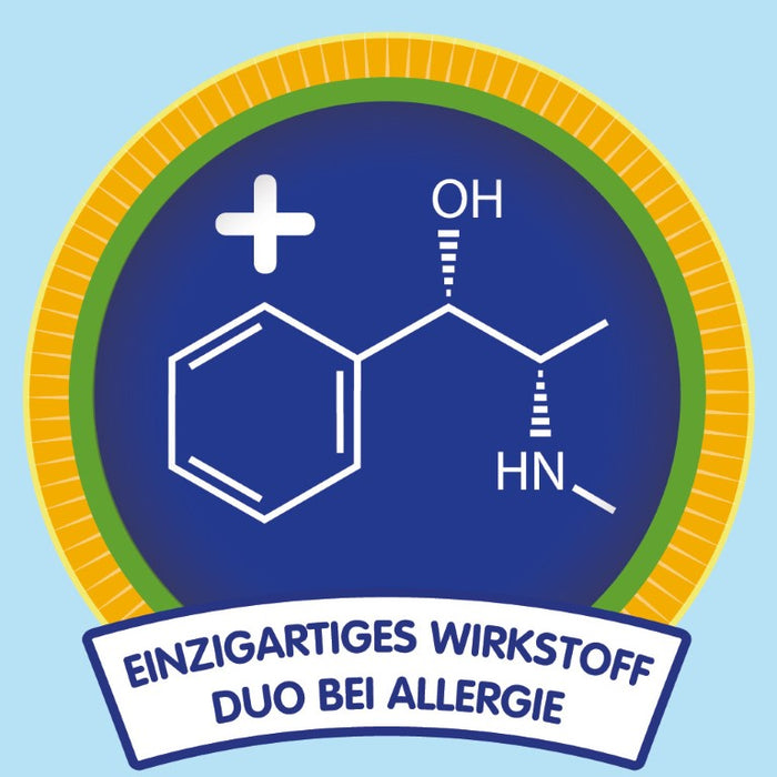 REACTINE duo Retardtabletten, 6 St. Kapseln