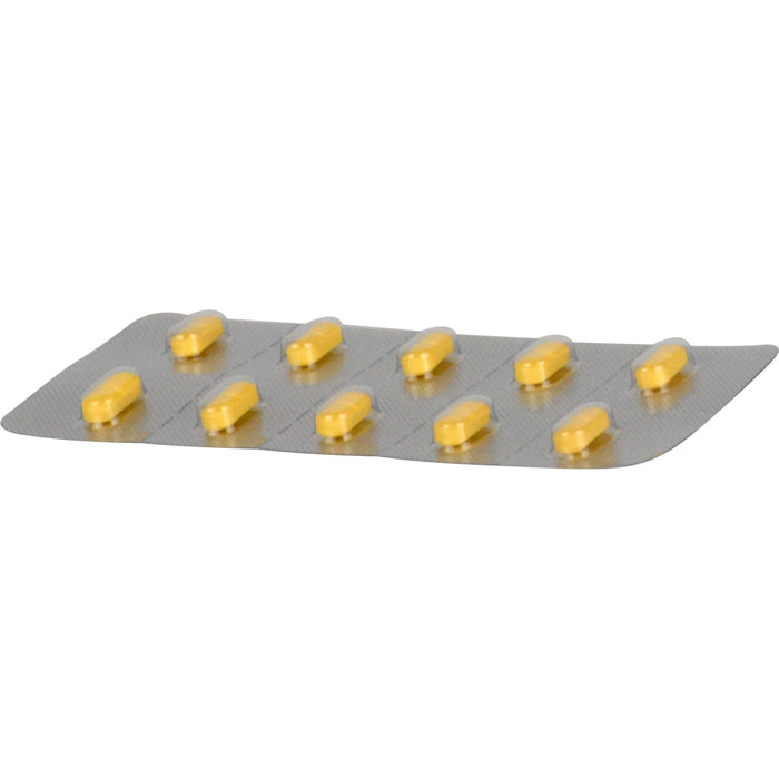 KARSIVAN 100 mg Filmtabletten für Hunde, 60 pcs. Tablets