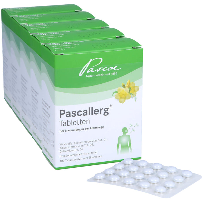 Pascallerg, 500 St TAB