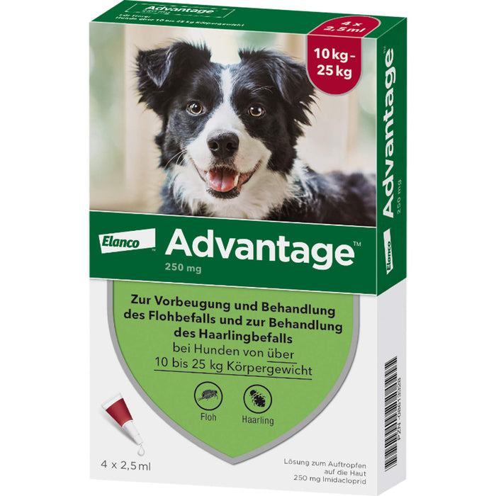 Advantage 250 mg Lösung zum Auftropfen bei Hunden, 4 pc Ampoules